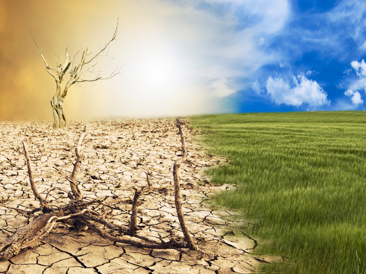 Klimawandel im Fokus: COP30 startet in Brasilien – Ein kritischer Moment!